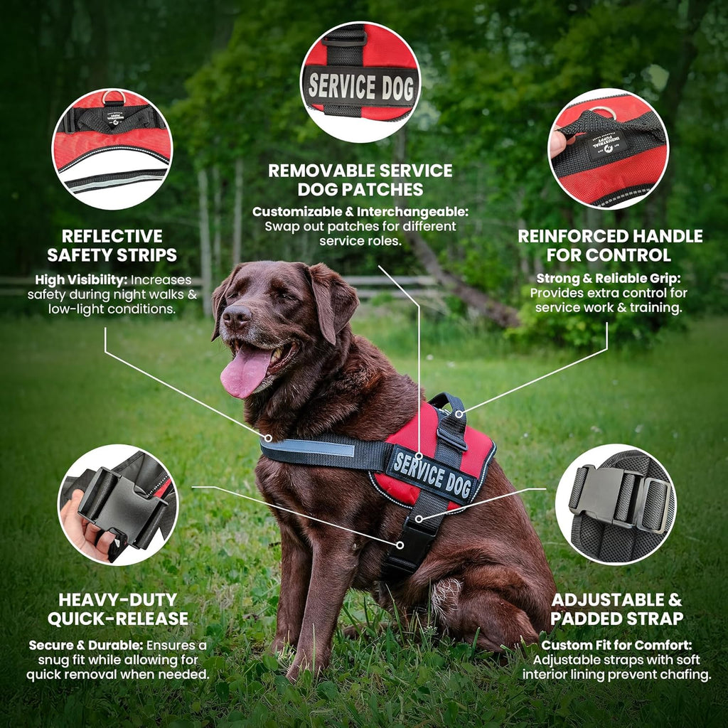 Service Dog Vest Harness - Durable & Adjustable Vest for Dog with Reflective Straps, Removable Patches, 50 ADA Cards, Handle & D-Ring, Travel and Daily Use, (Bright Red, XL 30"-39")