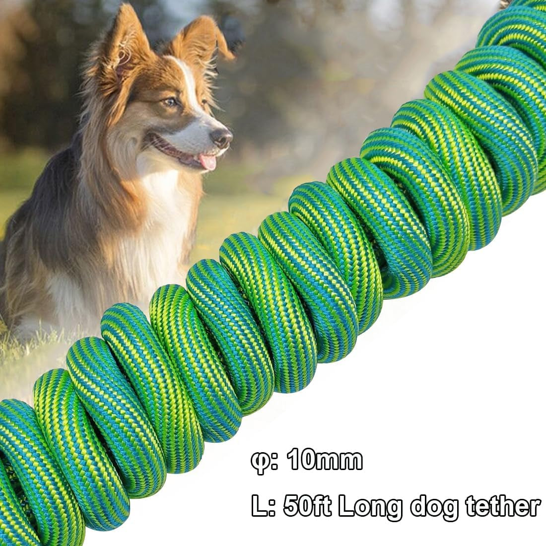 8Ft 12Ft 20Ft 30Ft 50Ft 75Ft Dog Tie Out Long Tether Rope Dog Lead, Outdoor Yard Leash, Large Medium Dogs Training, Playing, Camping, Backyard (Green, 50 Foot)