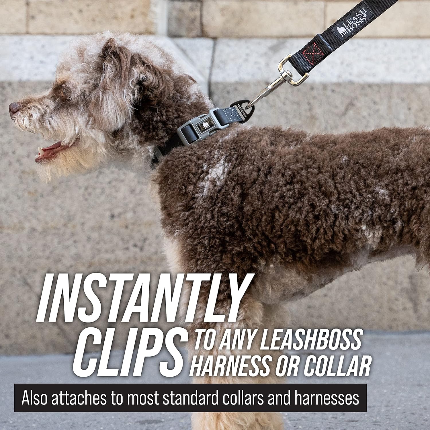 Elevate Your Dog Training with the Free Range 30 Ft Long Leash and Stylish Drawstring Backpack - Perfect for Large Dogs!