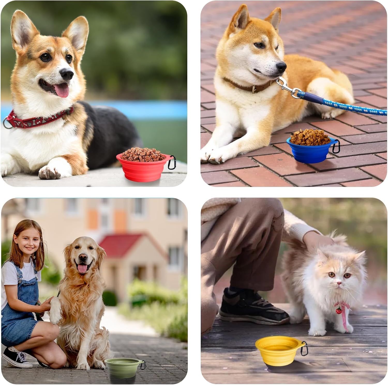 Silicone Collapsible Dog Bowls - 2-Pack, BPA-Free, Dishwasher Safe, Portable and Expandable Travel Feeding Dishes for Dogs and Cats with 2 Carabiners (Army Green, Blue)